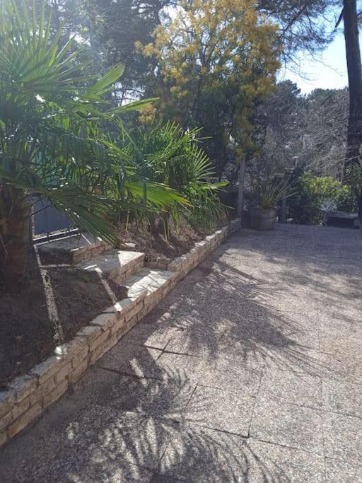 Maison Au Dessus Du Lac De Biscarrosse Esterno foto
